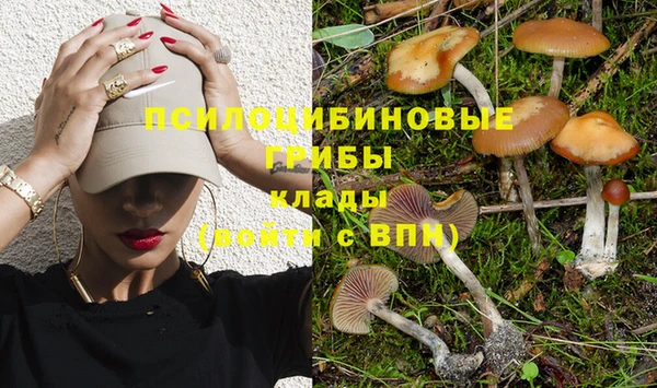 стаф Балабаново
