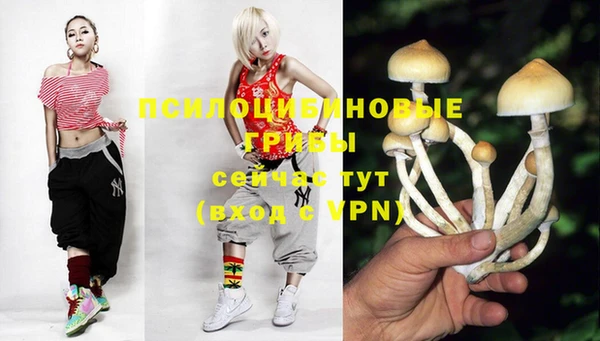 прущая мука Баксан